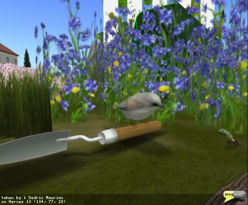 RFL of SL 2008 Frozen Peas Bird